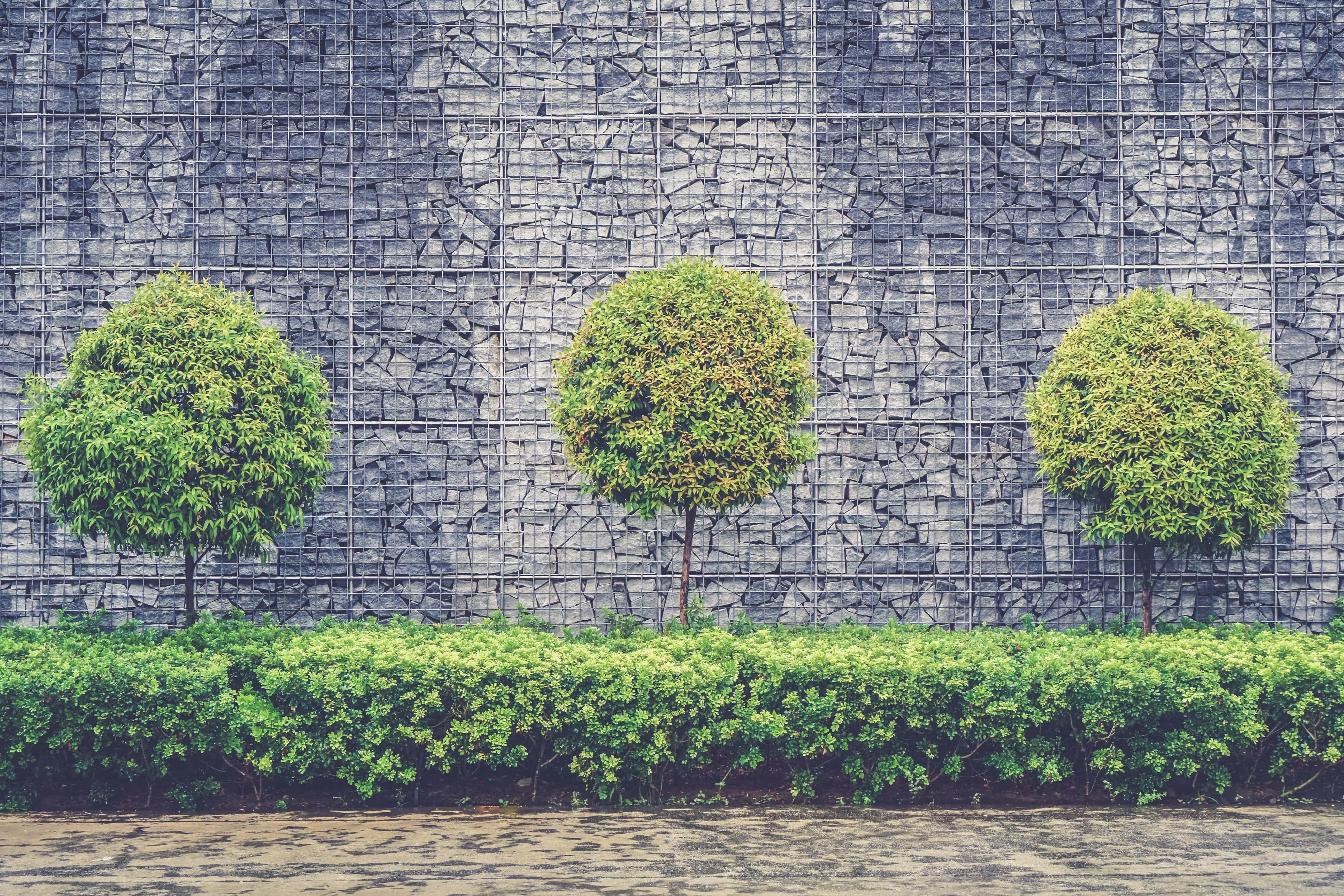 Thunder Ridge Tree Service Images