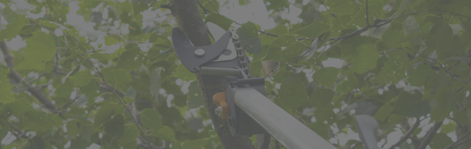 Thunder Ridge Tree Service Images