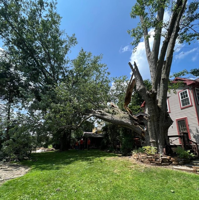 Fallen tree on a residential home
